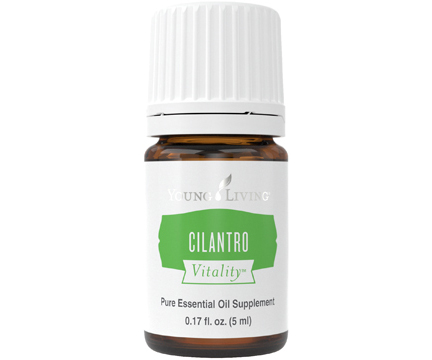 Cilantro Vitality_6042829555f82.jpeg