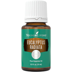 Eucalyptus Radiata Essential Oil