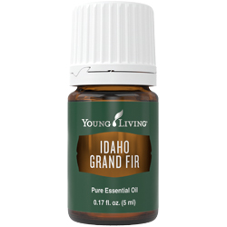 Idaho Grand Fir Essential Oil