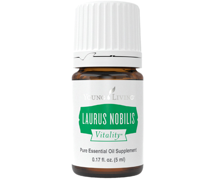 Laurus Nobilis Vitality_604283c1e01f4.jpeg