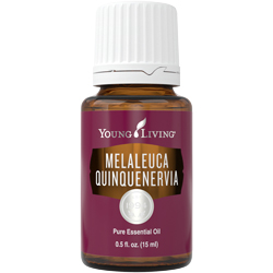 Melaleuca Quinquenervia Essential Oil