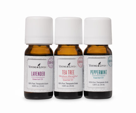 Seed to Seal Story Collection_60428317ce590.jpeg