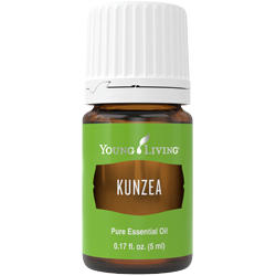 Kunzea Essential Oil