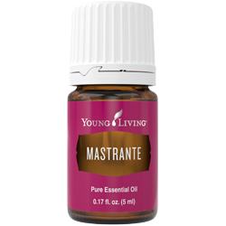 Mastrante Essential Oil