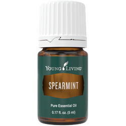 Spearmint Essential Oil